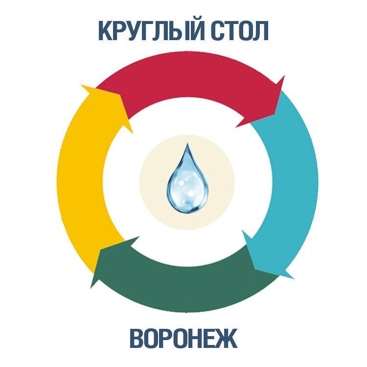 Круглый стол в Воронеже